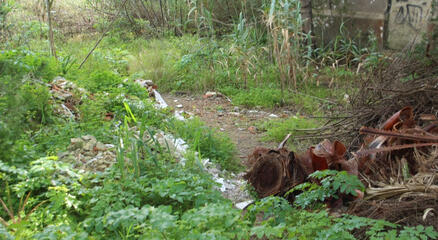 O QUE ESTÁ EM CAUSA